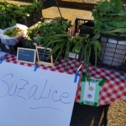 Table of producce