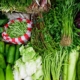 fresh produce